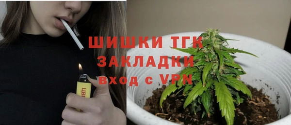 дживик Волоколамск