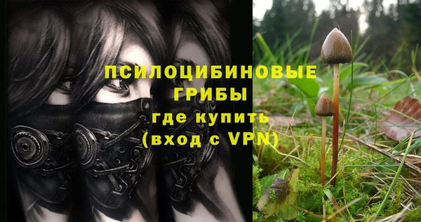 дживик Волоколамск
