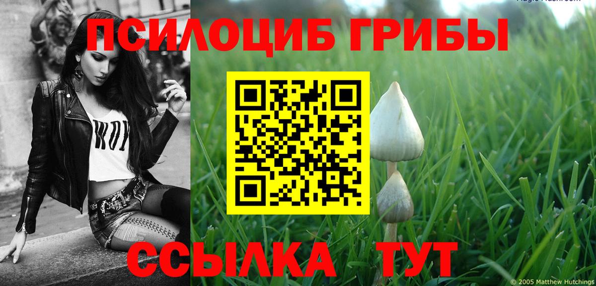Галлюциногенные грибы Cubensis Вологда